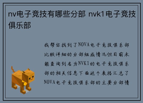 nv电子竞技有哪些分部 nvk1电子竞技俱乐部